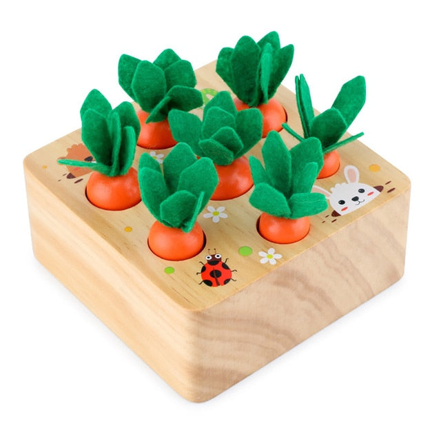 Wooden Carrot Playset