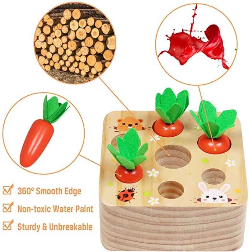 Wooden Carrot Playset
